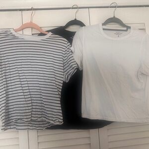 Abercrombie & Fitch Skimming Tee- pack of 3- SIZE MEDIUM